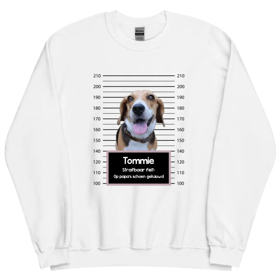 Gepersonaliseerde "mugshot" sweater - Boevenfoto van verdacht huisdier + strafbaar feit - Iedereen Blij