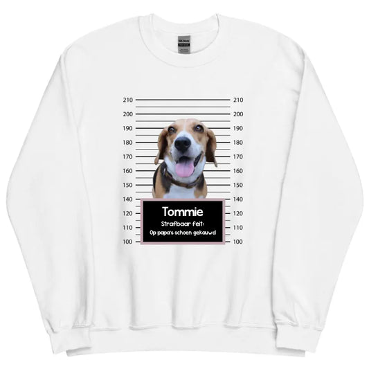 Gepersonaliseerde "mugshot" sweater - Boevenfoto van verdacht huisdier + strafbaar feit