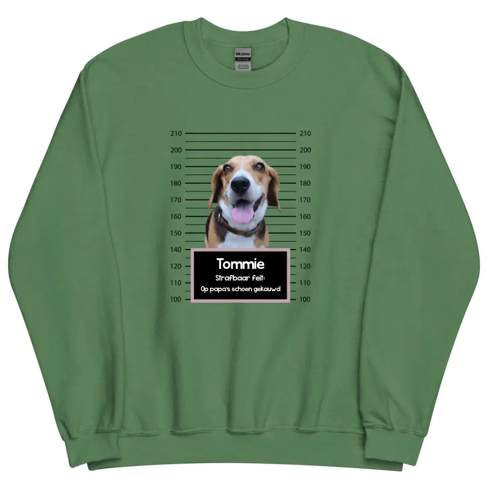 Gepersonaliseerde "mugshot" sweater - Boevenfoto van verdacht huisdier + strafbaar feit