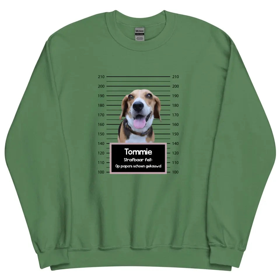 Gepersonaliseerde "mugshot" sweater - Boevenfoto van verdacht huisdier + strafbaar feit - Iedereen Blij