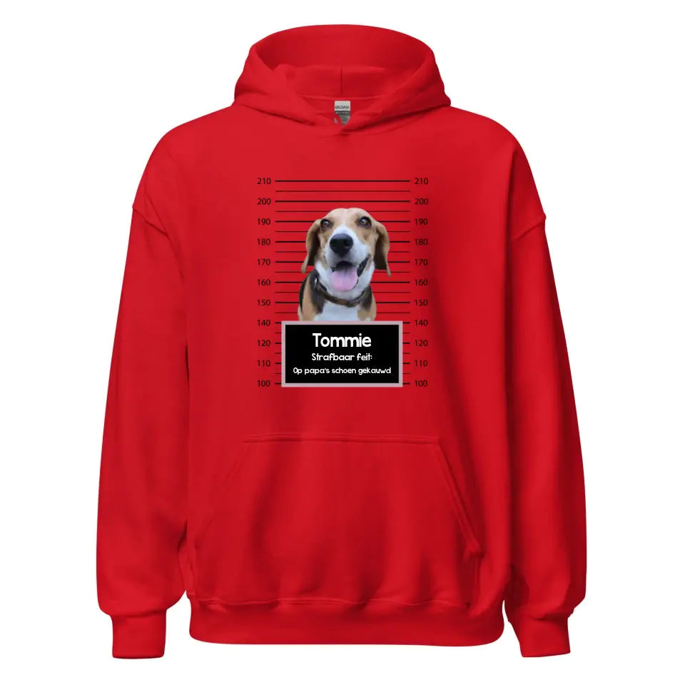 Gepersonaliseerde "mugshot" hoodie - Boevenfoto van verdacht huisdier + strafbaar feit
