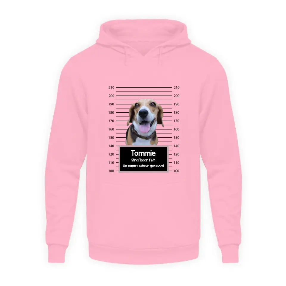 Gepersonaliseerde "mugshot" hoodie - Boevenfoto van verdacht huisdier + strafbaar feit - Iedereen Blij