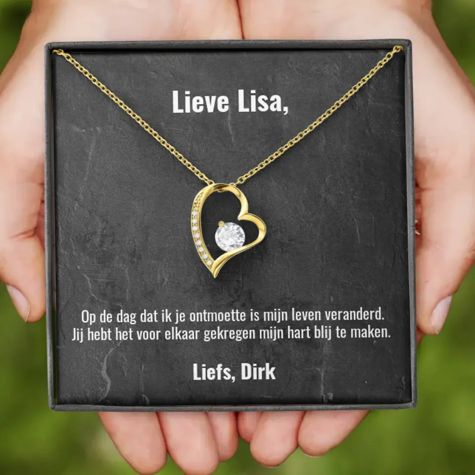 "Op de dag dat ik je ontmoette..." | Hartjes ketting met gepersonaliseerd doosje | Voeg eigen tekst toe | 14K witgoud of 18K goud - Iedereen Blij