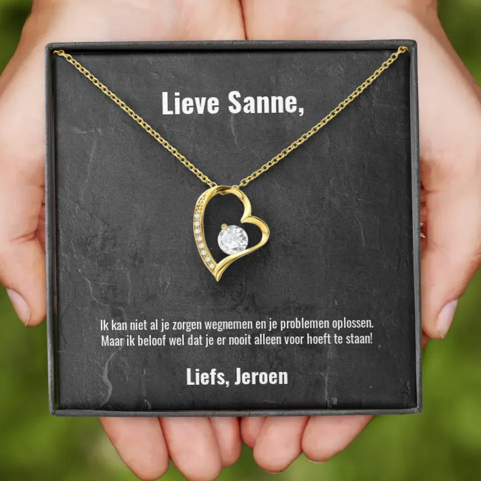 "Ik kan niet al je zorgen wegnemen..." | Hartjes ketting met gepersonaliseerd doosje | Voeg eigen tekst toe | 14K witgoud of 18K goud - Iedereen Blij