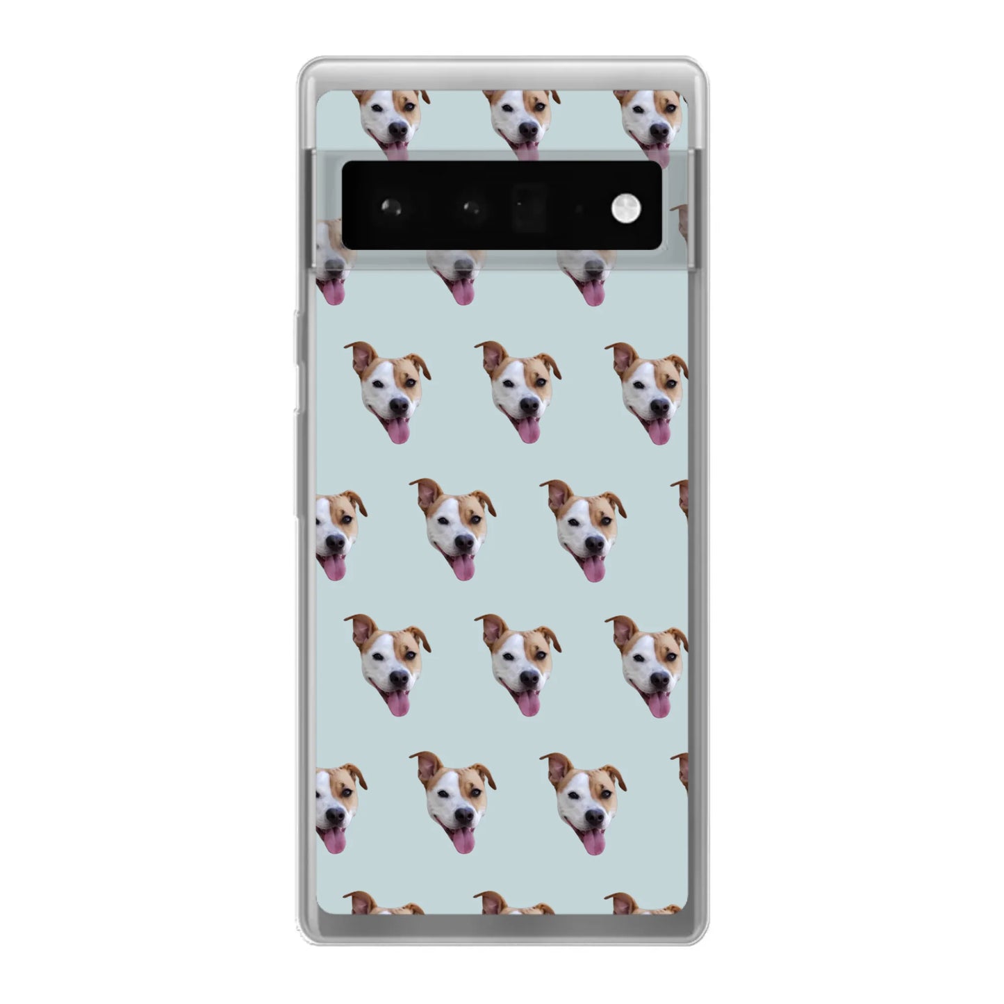 6 pro