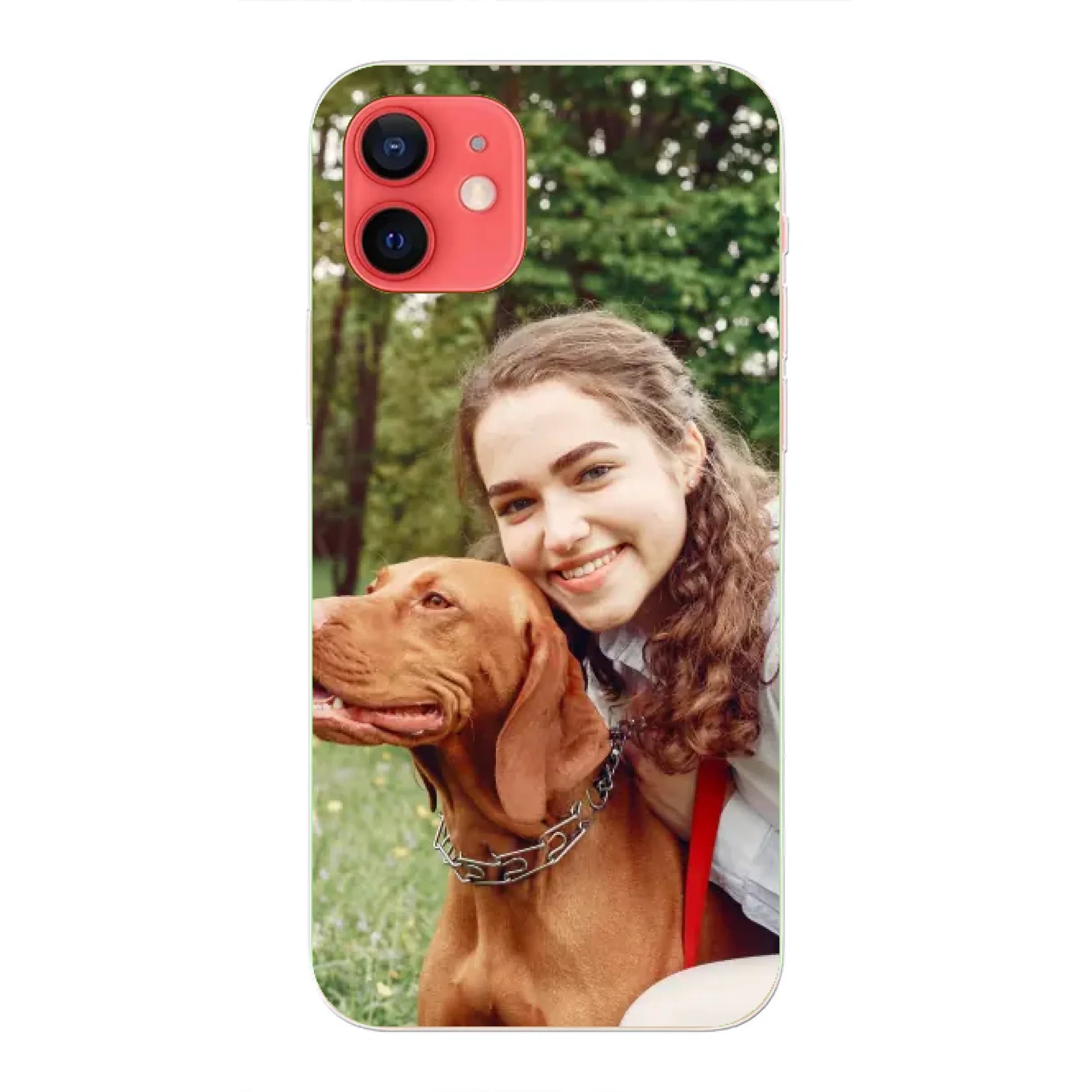 iphone 12 en iphone 12 pro