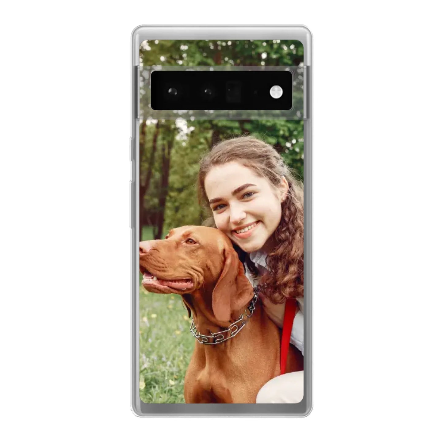 6 pro