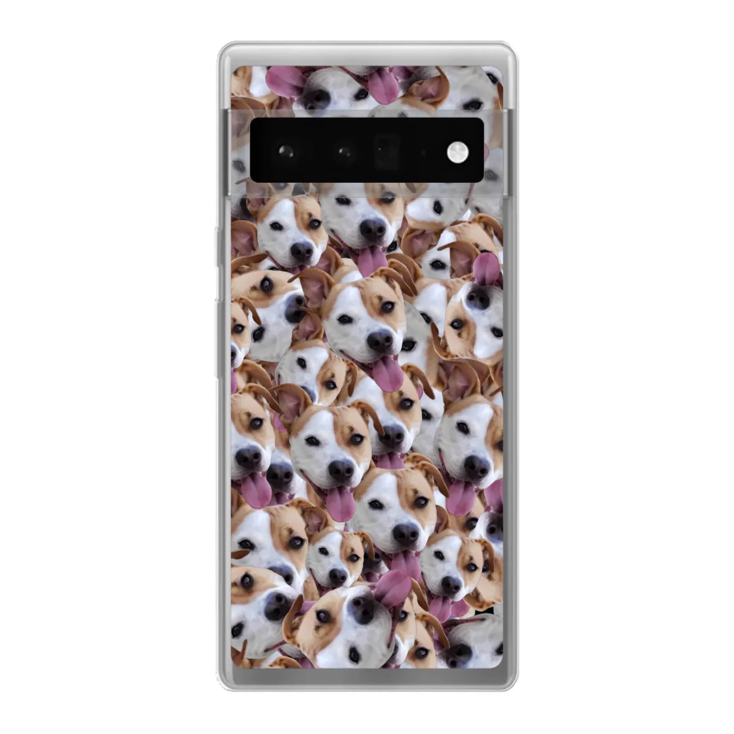 6 pro