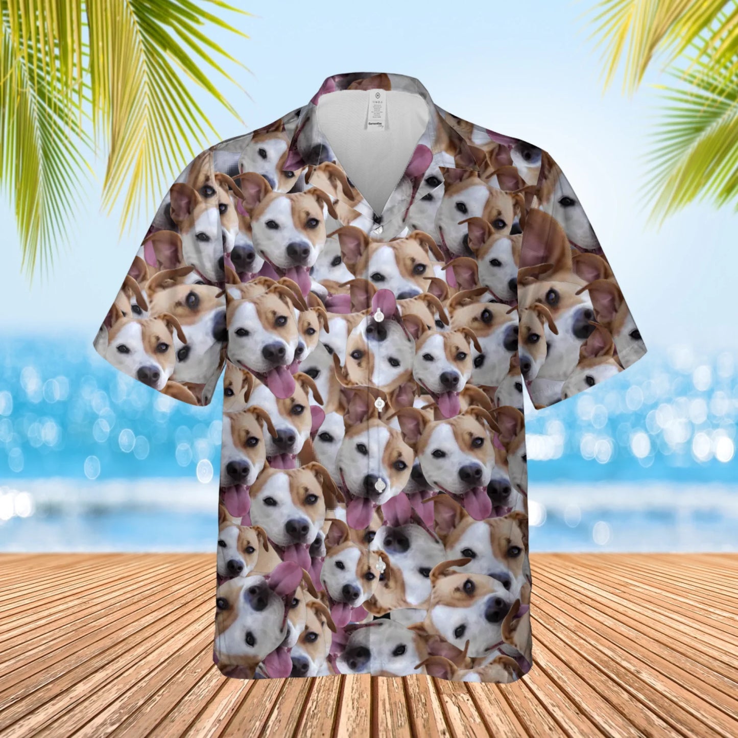 1 shirt