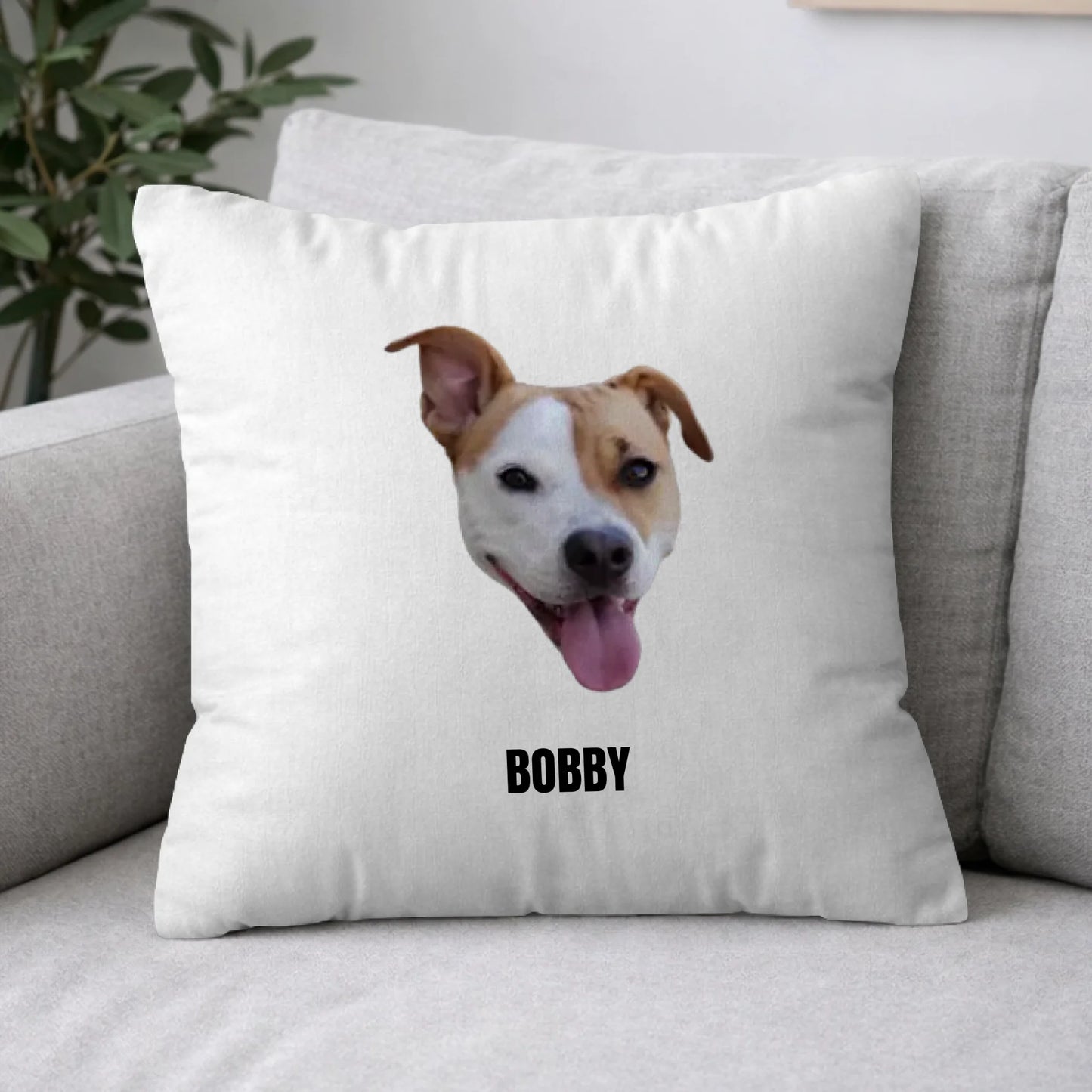 Pillow 2-1