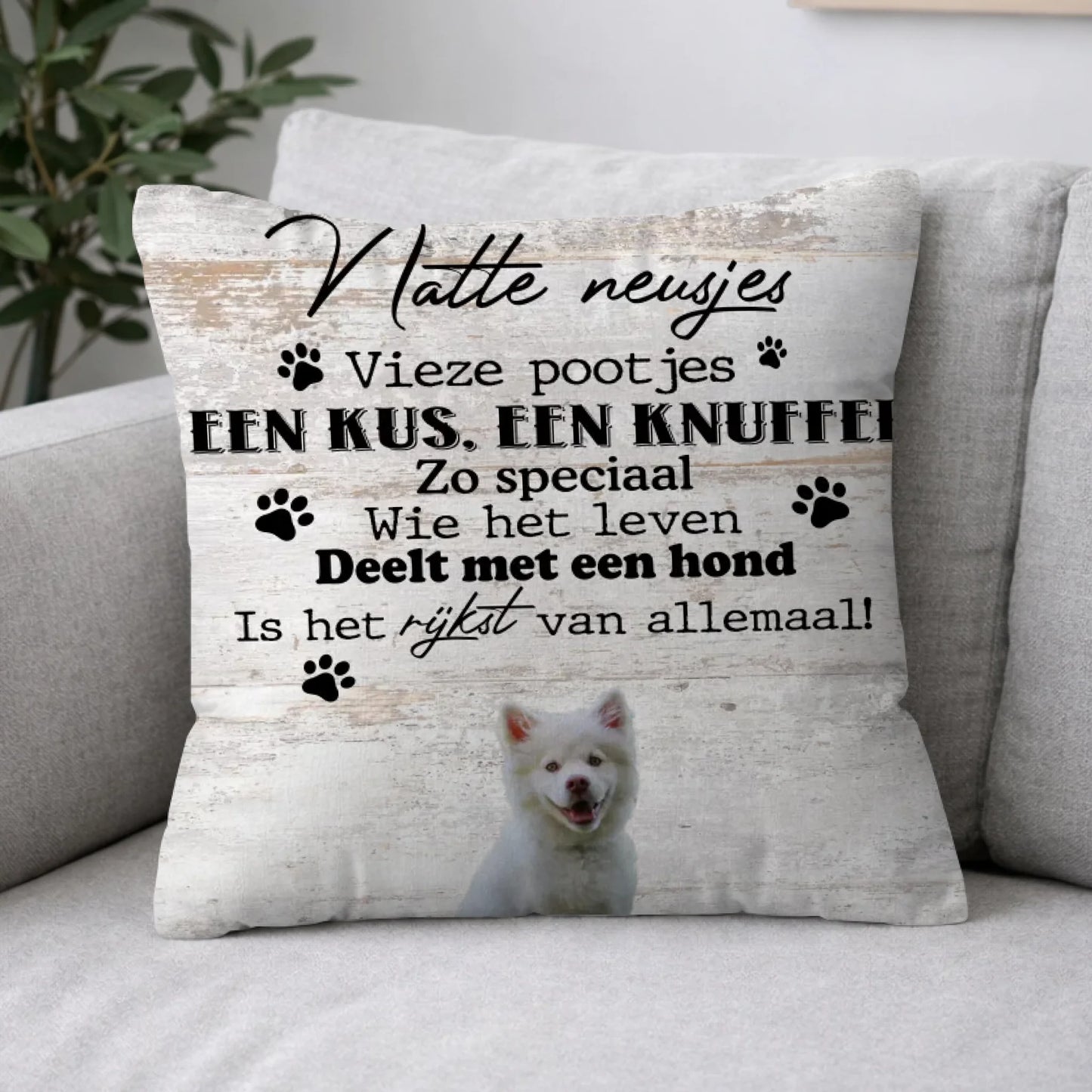 Pillow 2-1