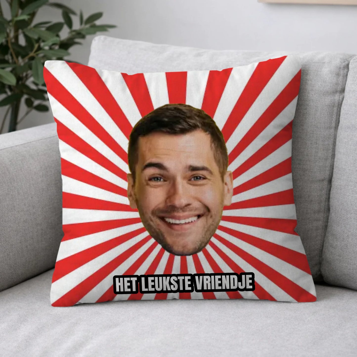 Pillow 2-1