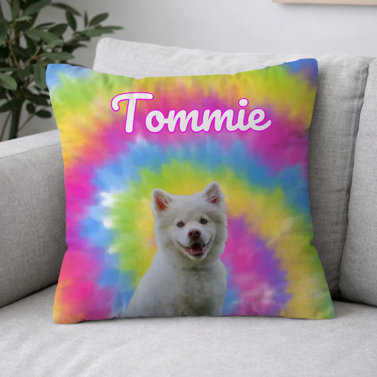 Pillow 2-1
