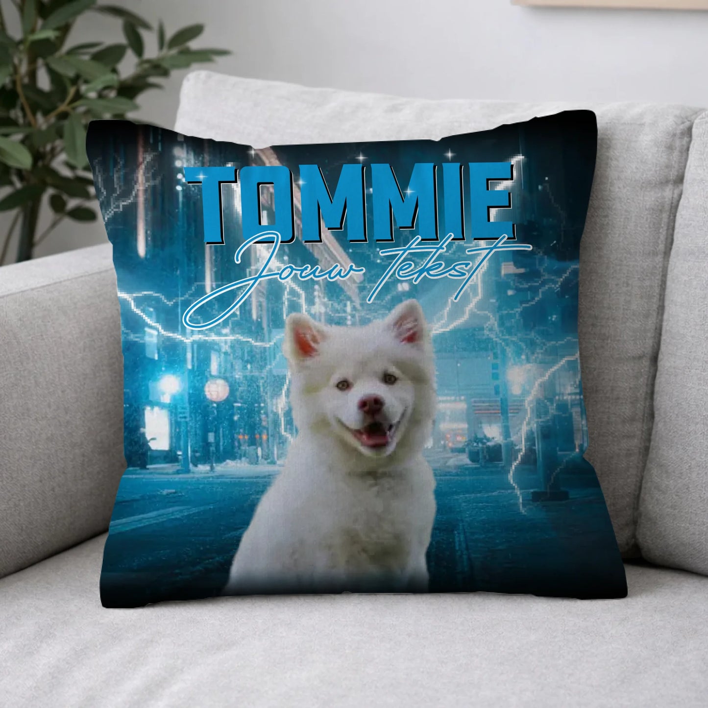 Pillow 2-1