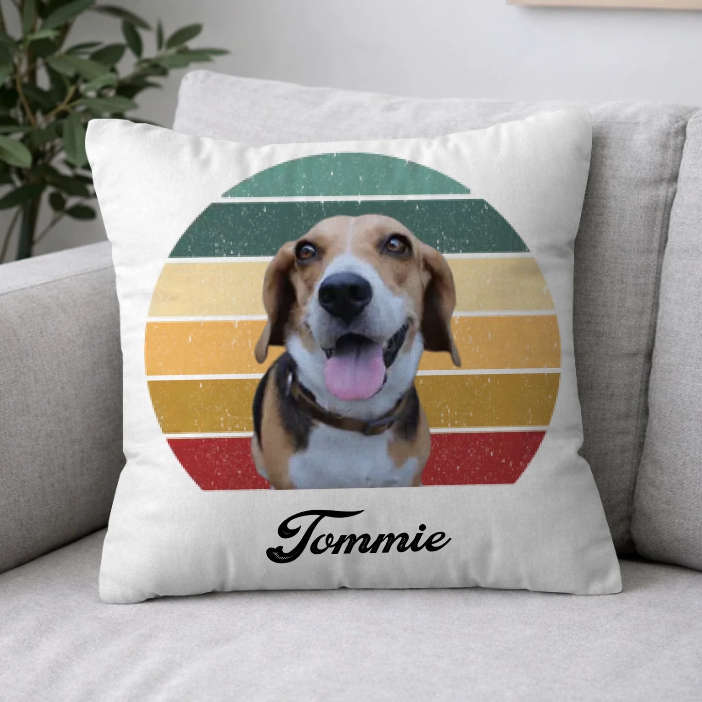 Pillow 2-1