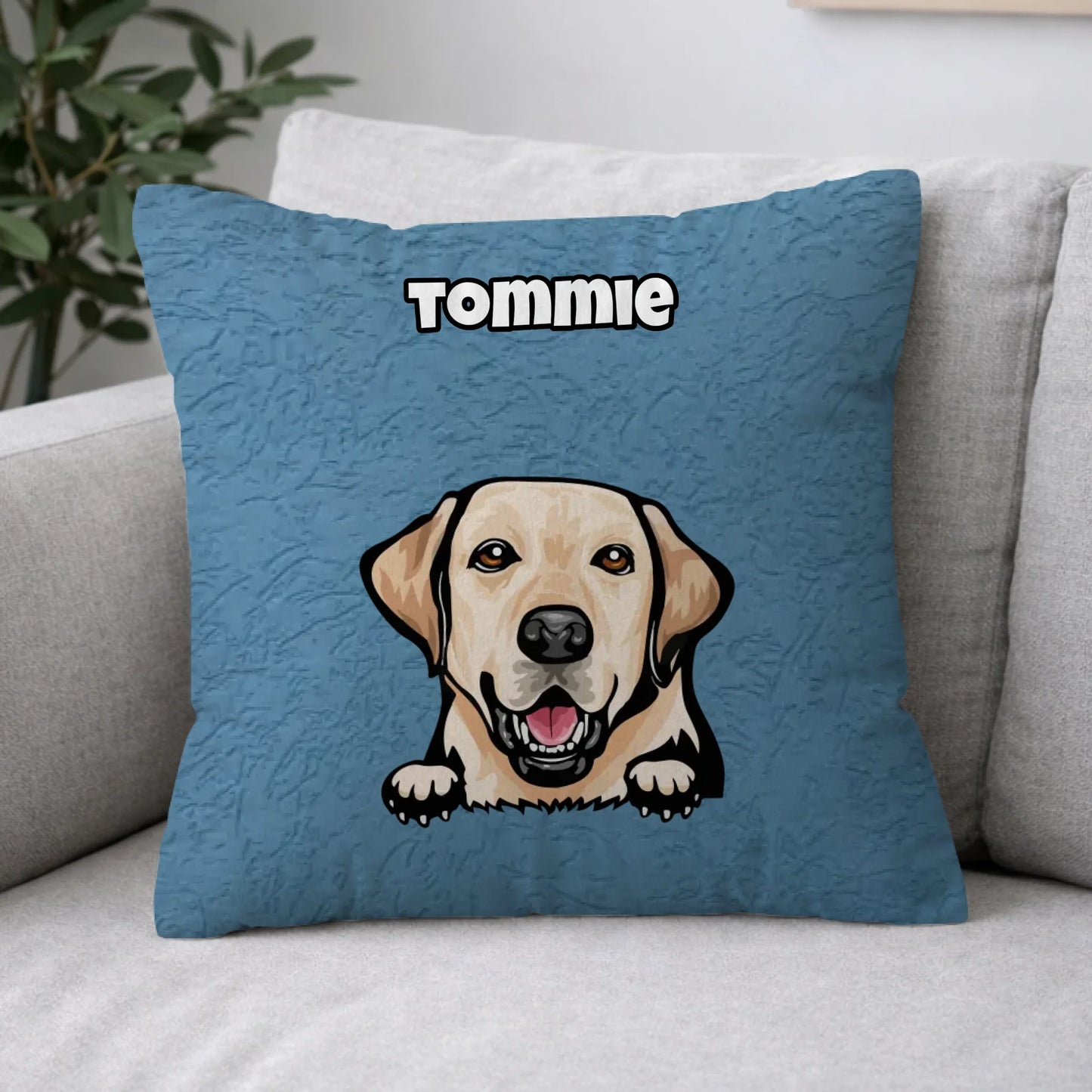 Pillow 2-1