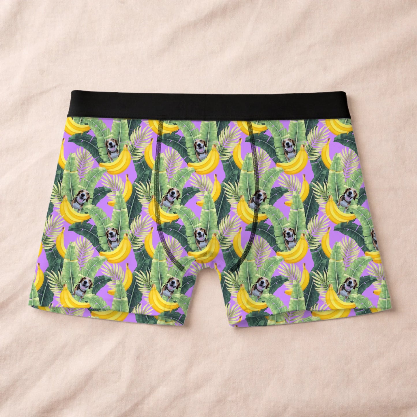 Boxer 1