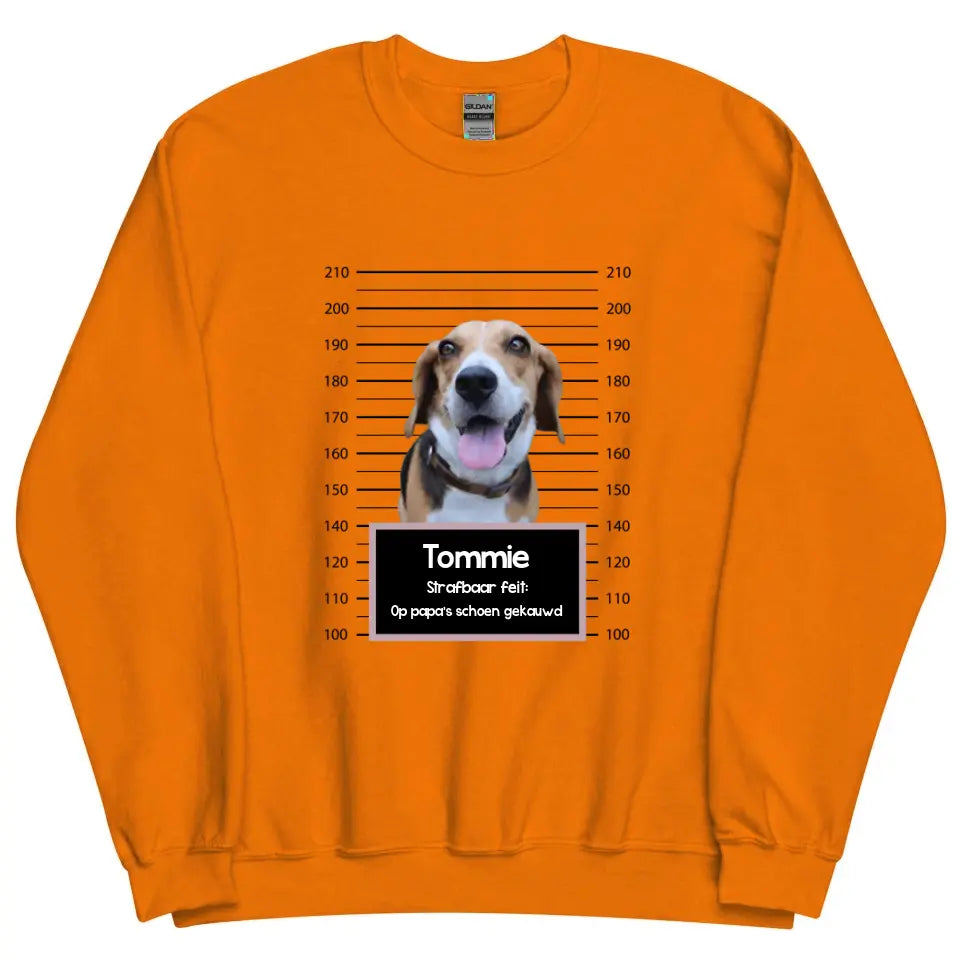 Gepersonaliseerde "mugshot" sweater - Boevenfoto van verdacht huisdier + strafbaar feit