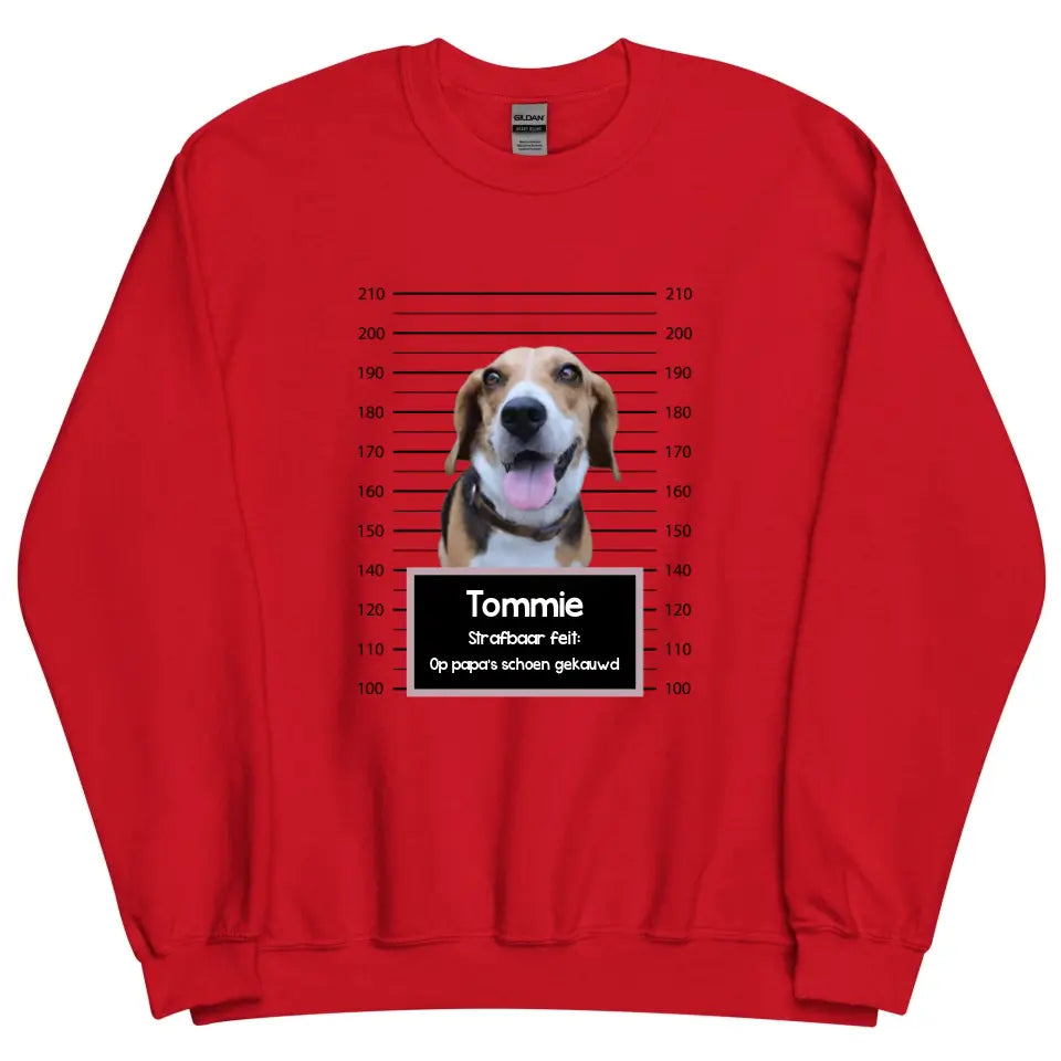Gepersonaliseerde "mugshot" sweater - Boevenfoto van verdacht huisdier + strafbaar feit