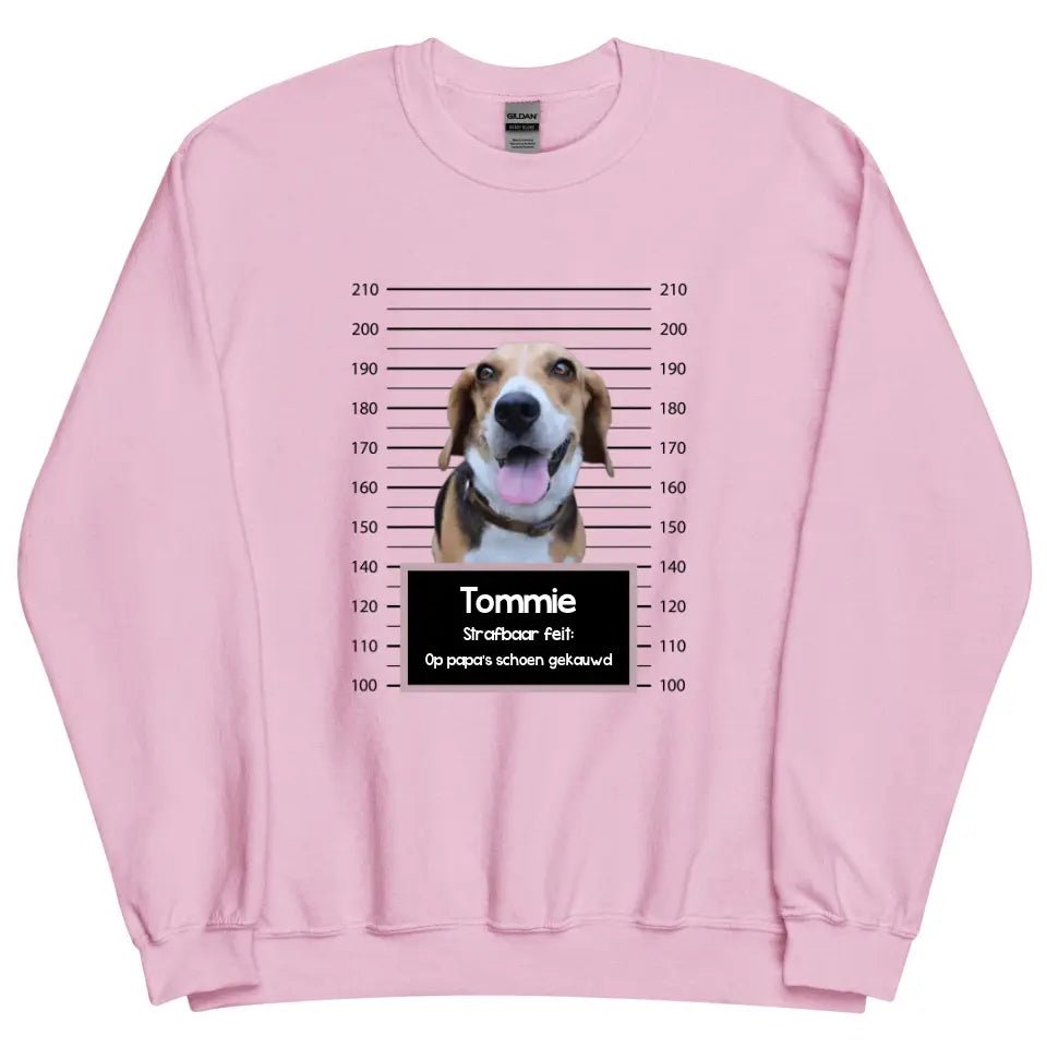 Gepersonaliseerde "mugshot" sweater - Boevenfoto van verdacht huisdier + strafbaar feit
