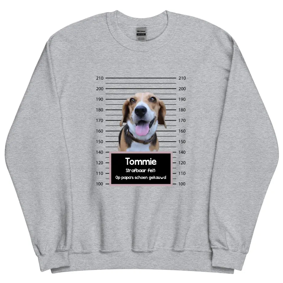 Gepersonaliseerde "mugshot" sweater - Boevenfoto van verdacht huisdier + strafbaar feit