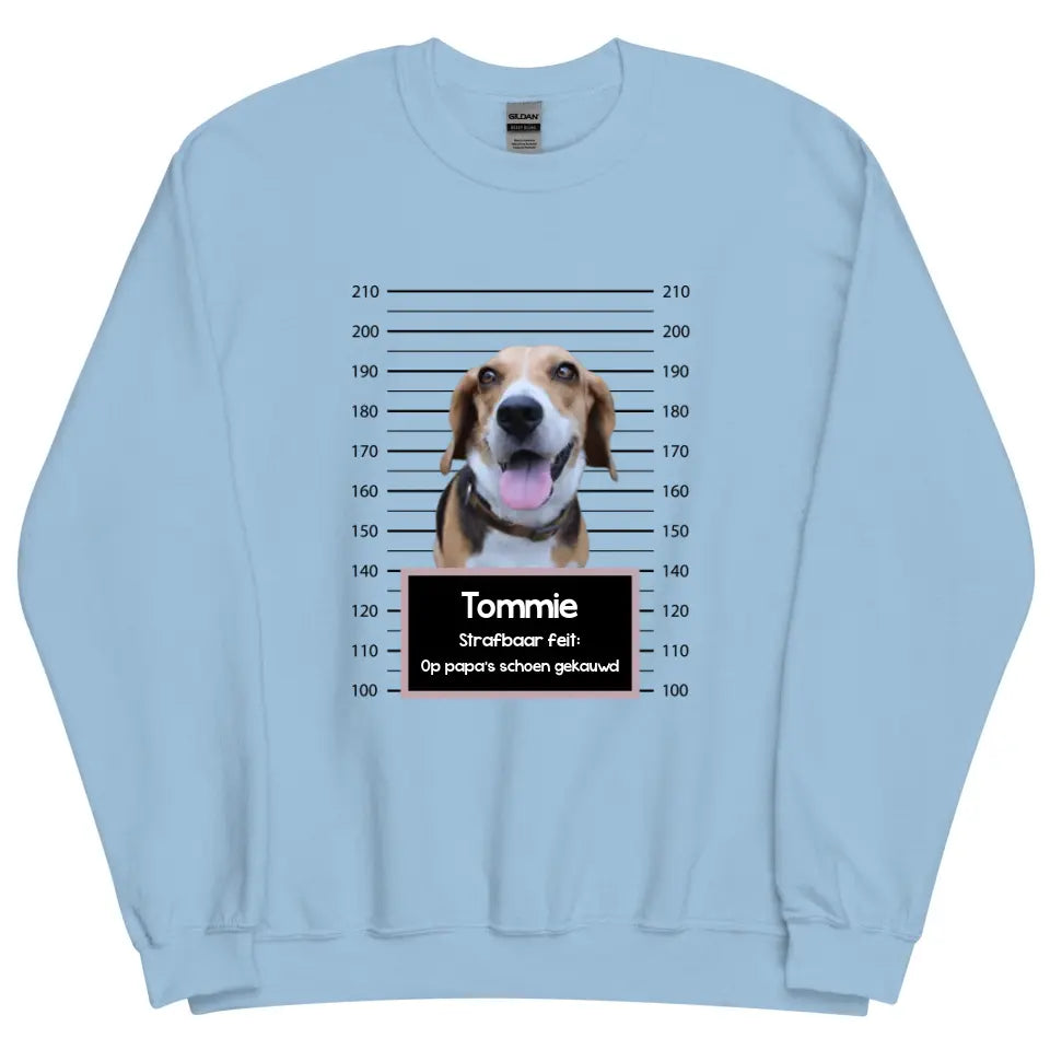 Gepersonaliseerde "mugshot" sweater - Boevenfoto van verdacht huisdier + strafbaar feit
