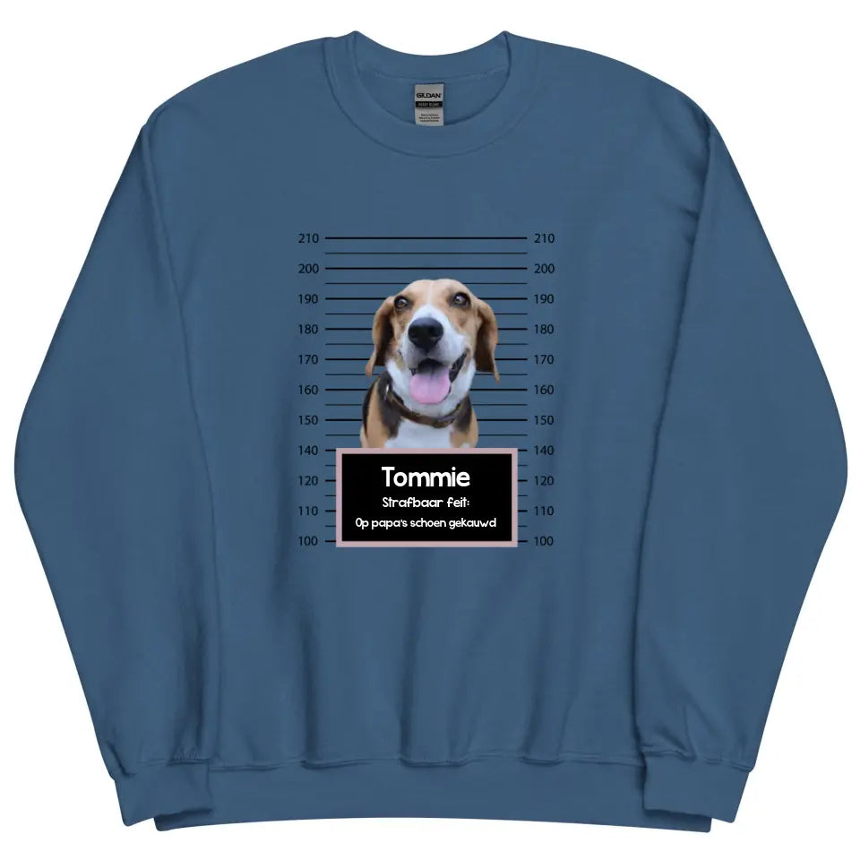 Gepersonaliseerde "mugshot" sweater - Boevenfoto van verdacht huisdier + strafbaar feit