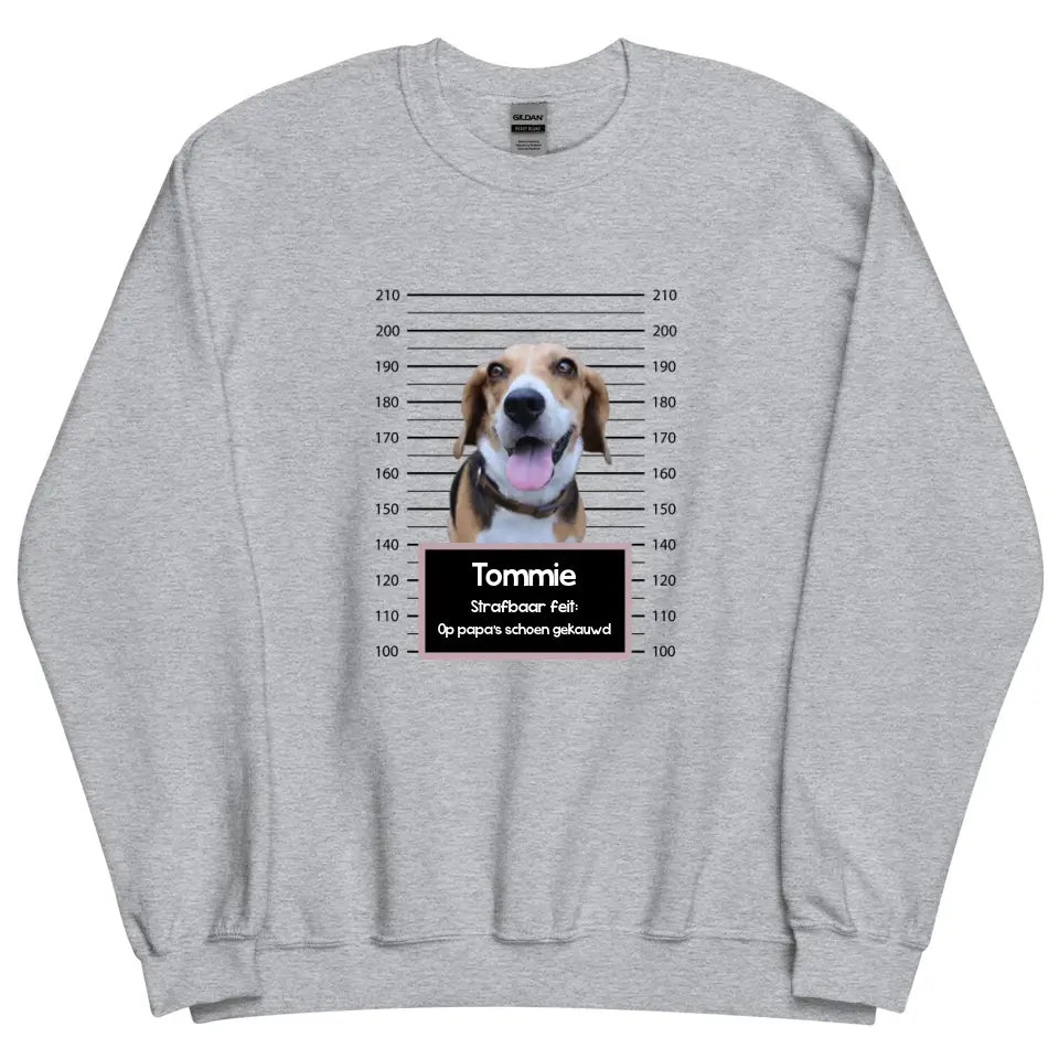 Gepersonaliseerde "mugshot" sweater - Boevenfoto van verdacht huisdier + strafbaar feit