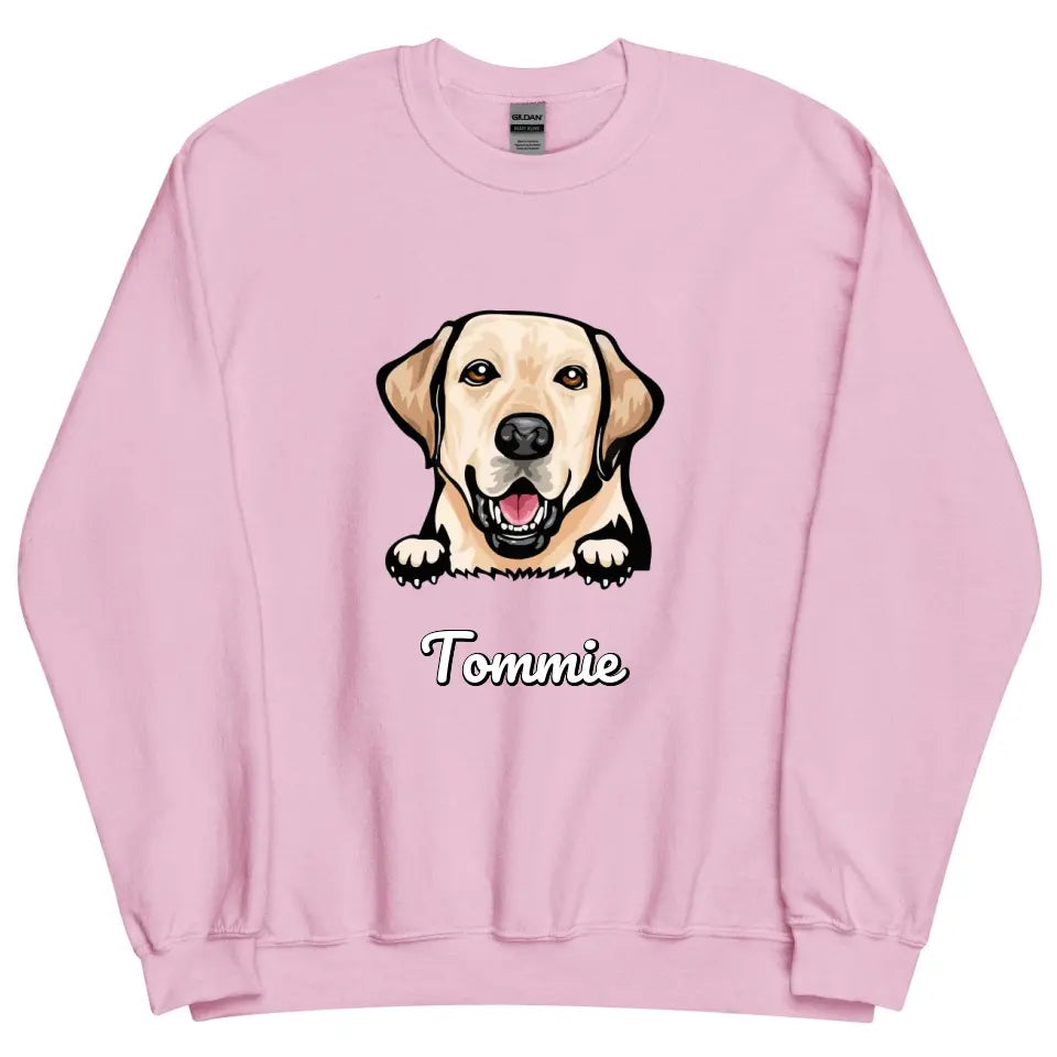 Personalized Sweater - Cartoon Pet + Name