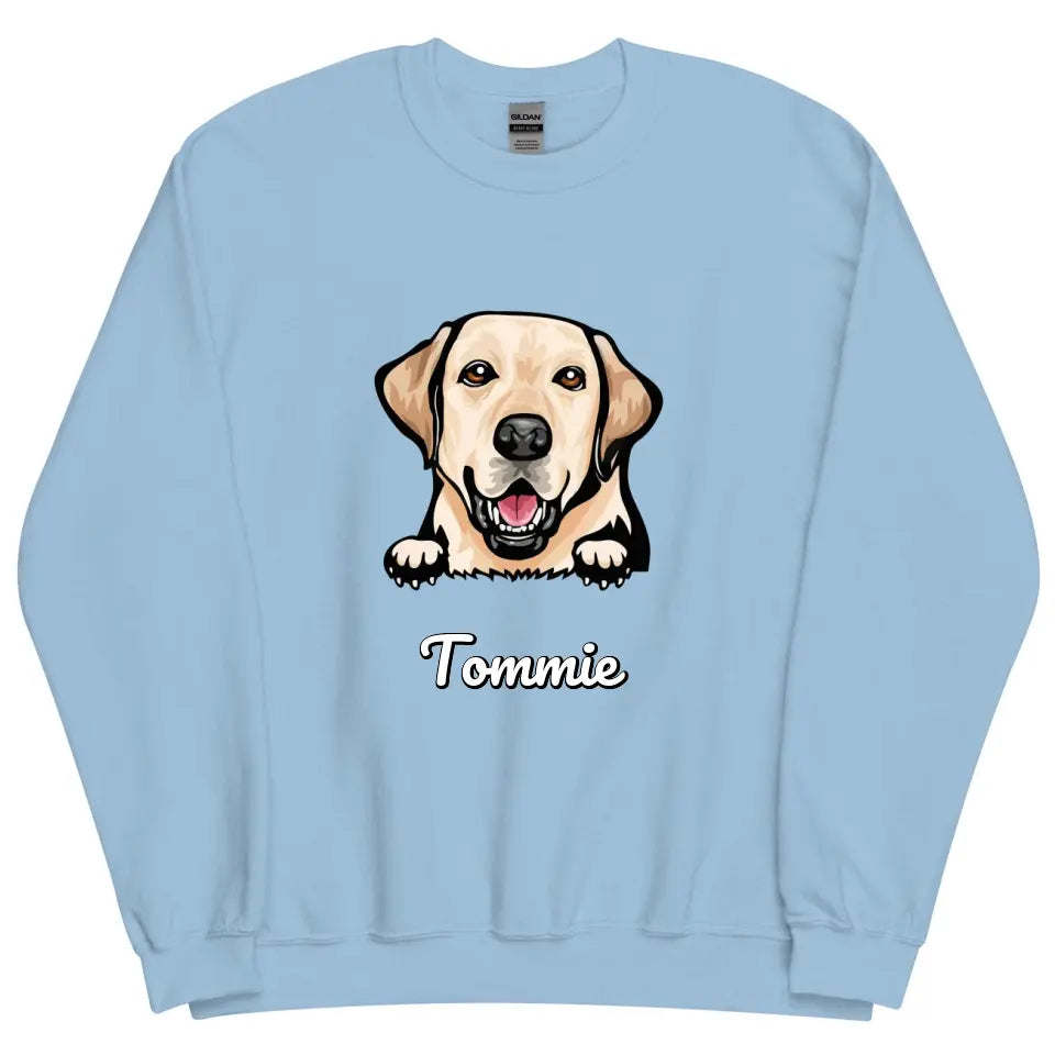 Personalized Sweater - Cartoon Pet + Name