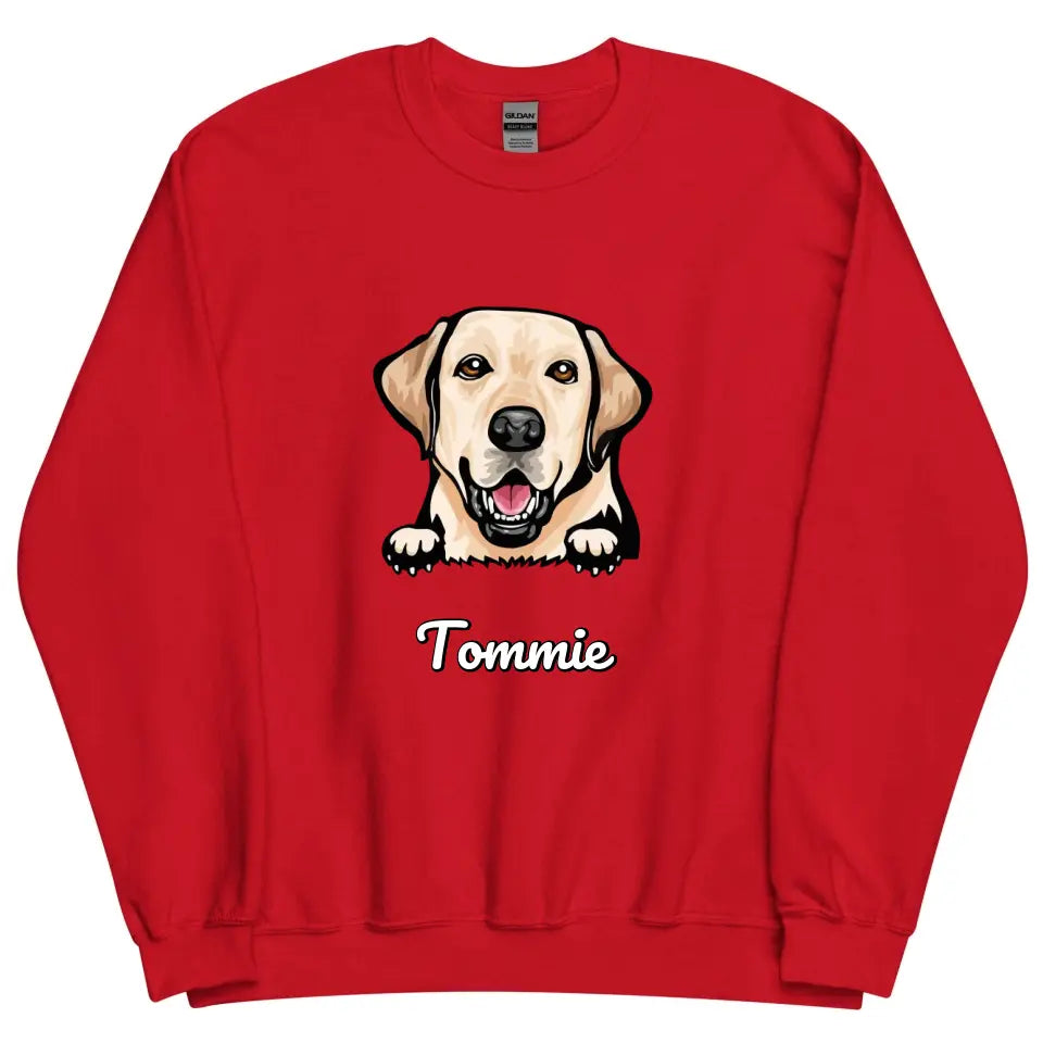 Personalized Sweater - Cartoon Pet + Name