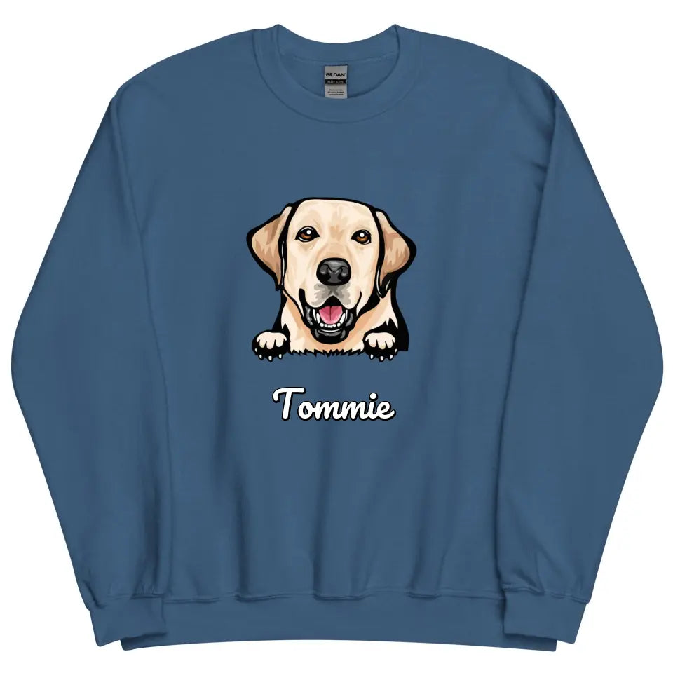 Personalized Sweater - Cartoon Pet + Name