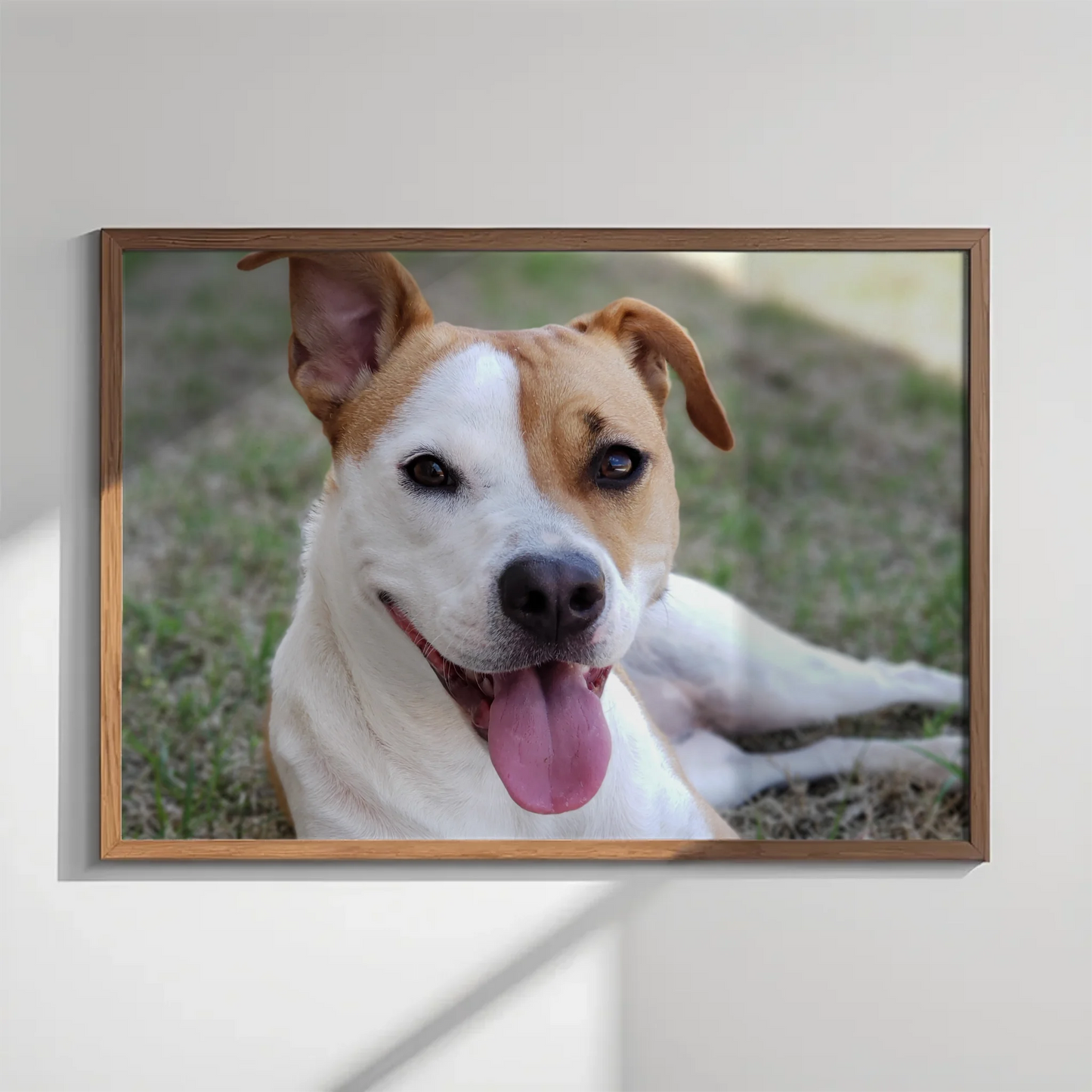 Poster-36x24_-wood frame