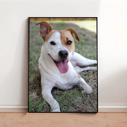 Poster-32″ x 48_- Black