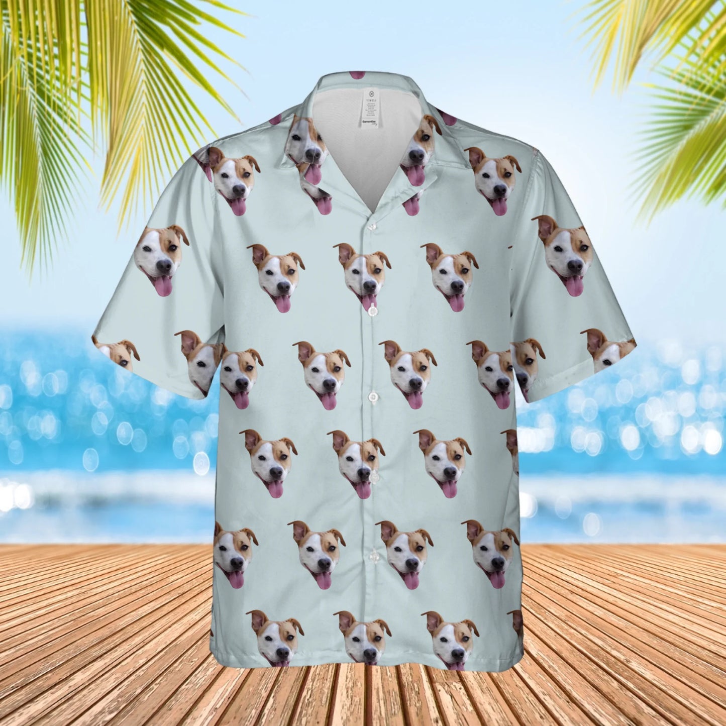 1 shirt