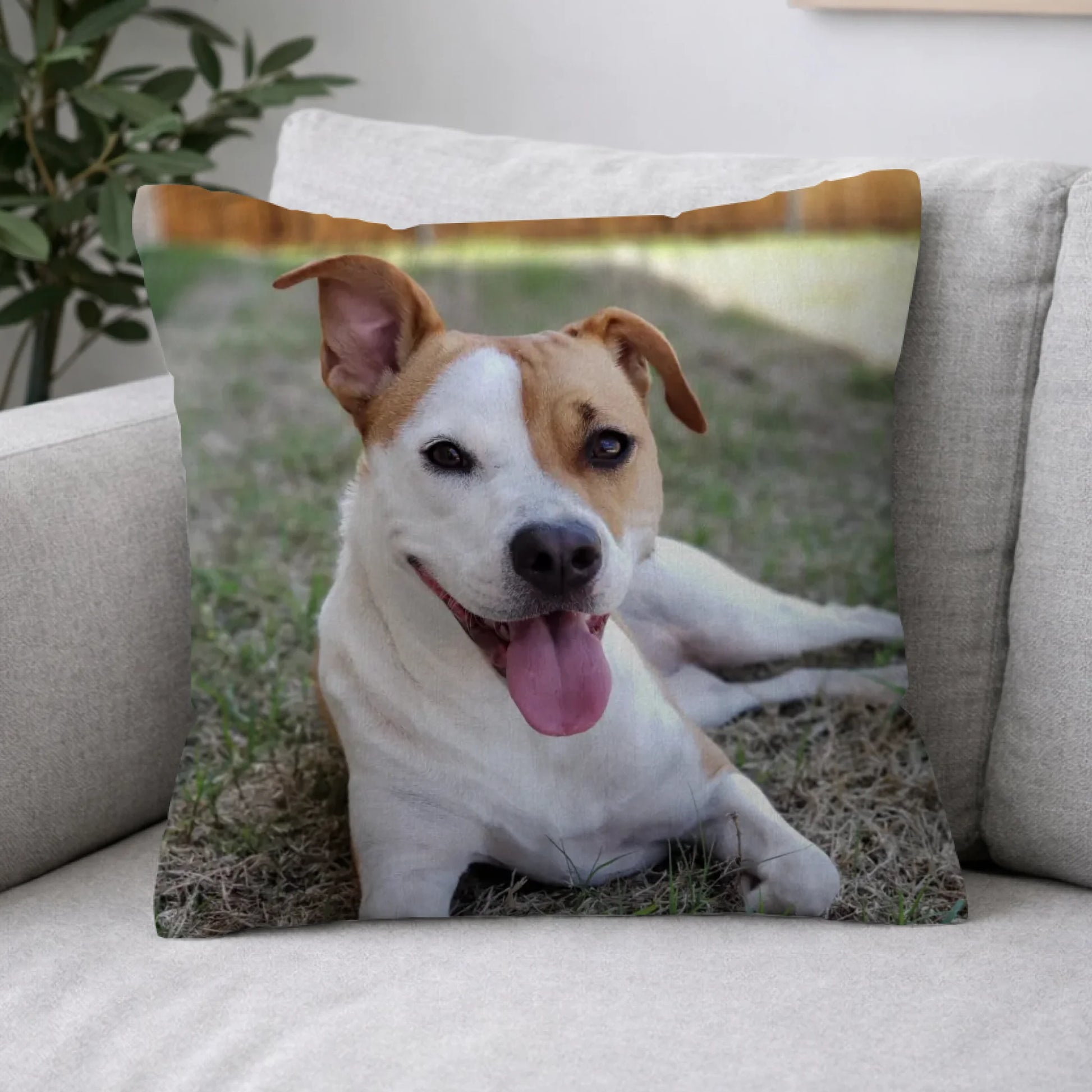 Pillow 2-1