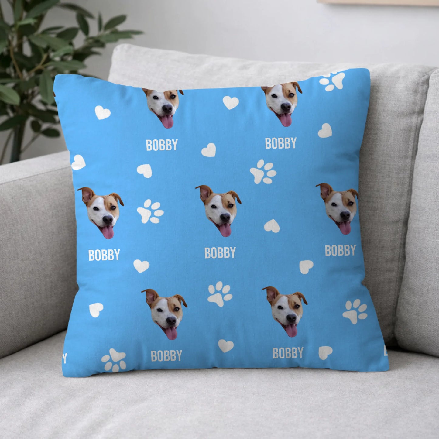 Pillow 2-1