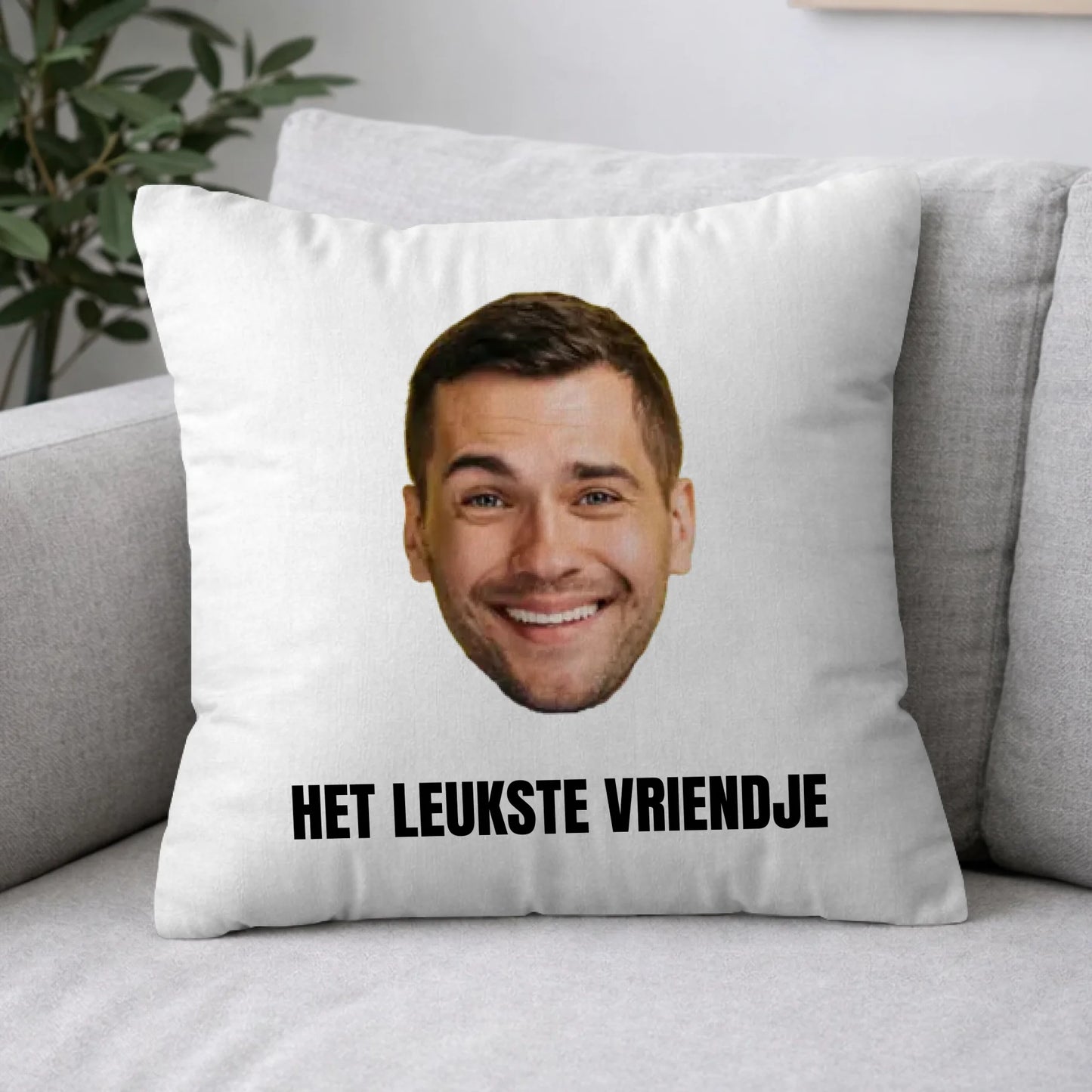 Pillow 2-1