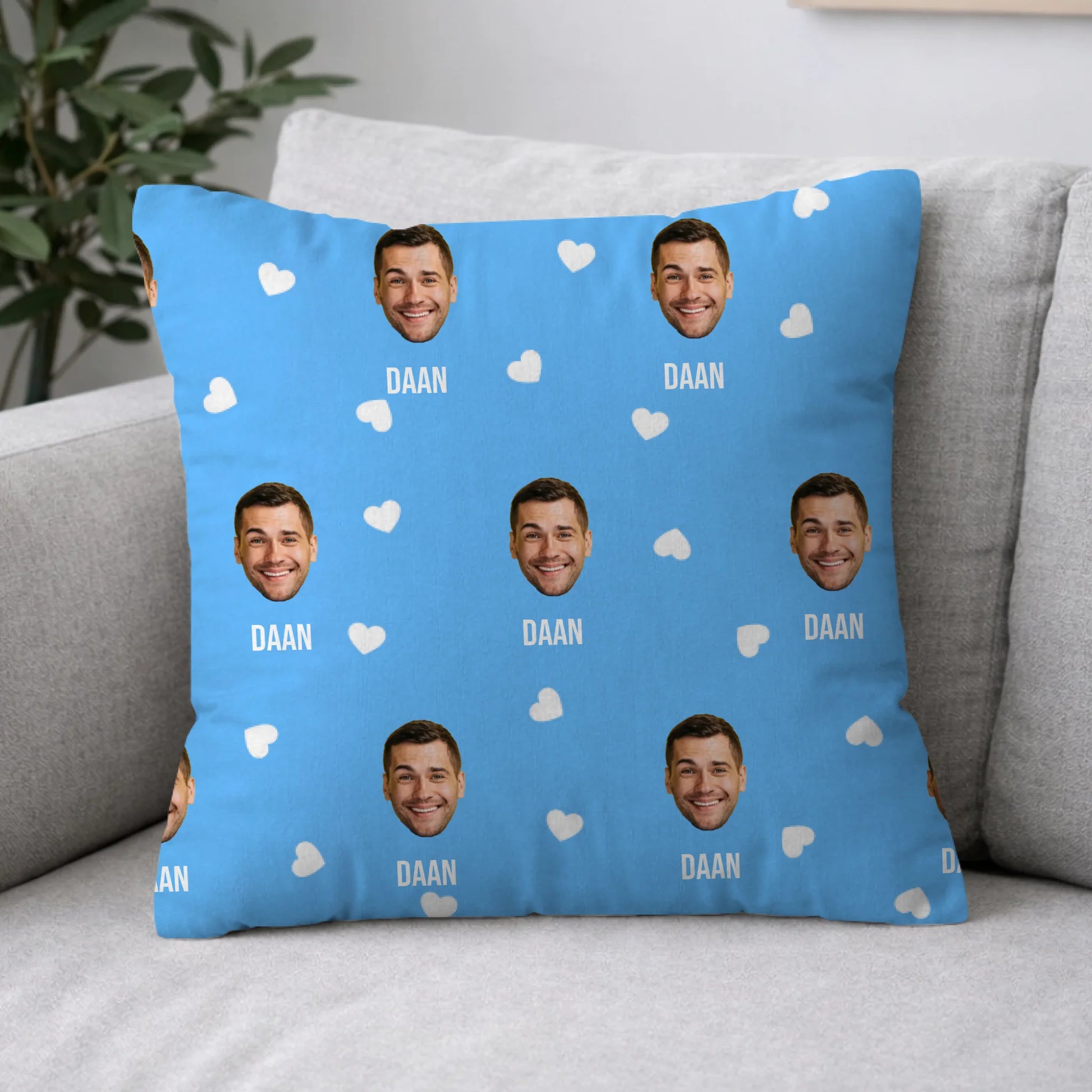 Pillow 2-1