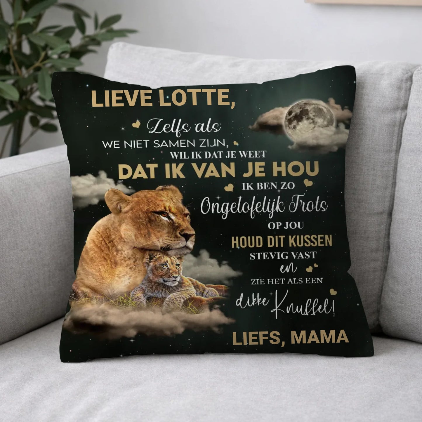 Pillow 2-1