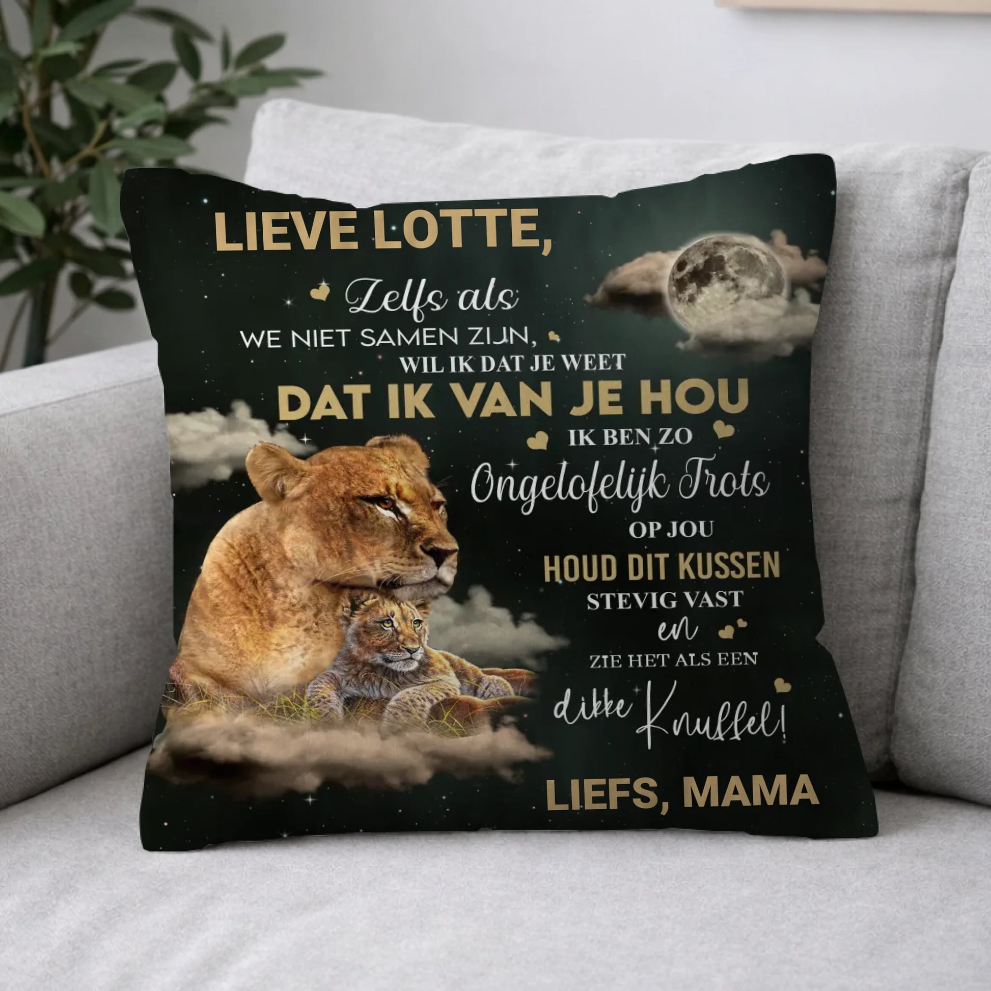Pillow 2-1