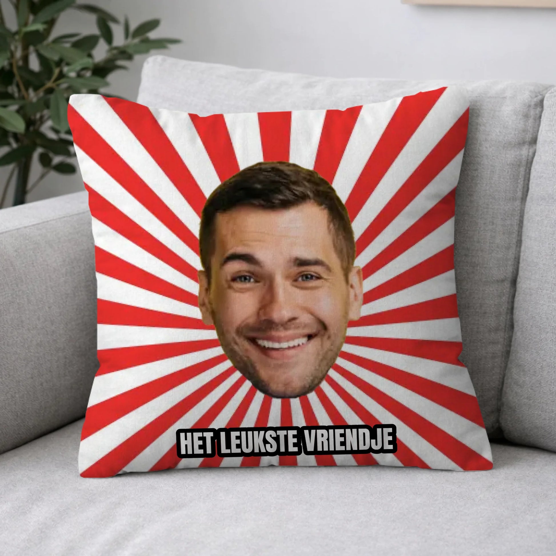 Pillow 2-1