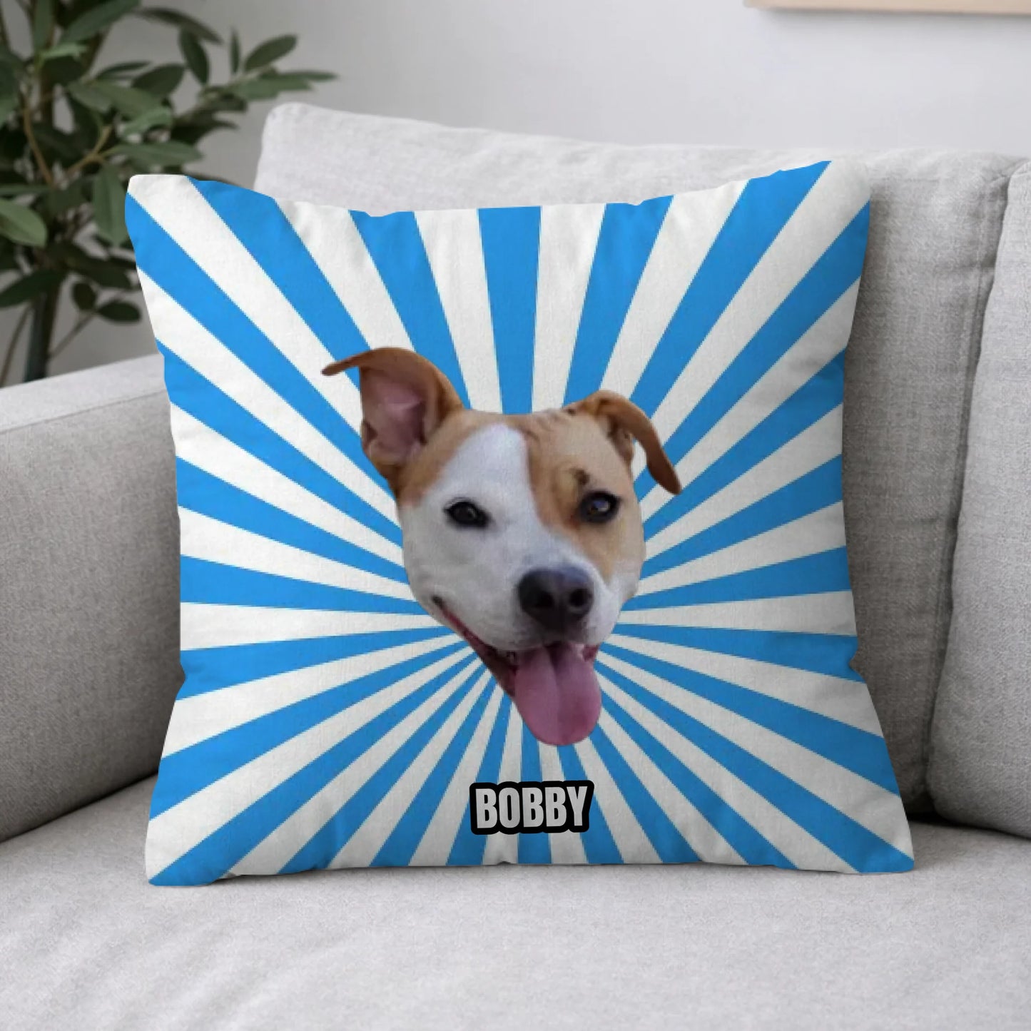 Pillow 2-1