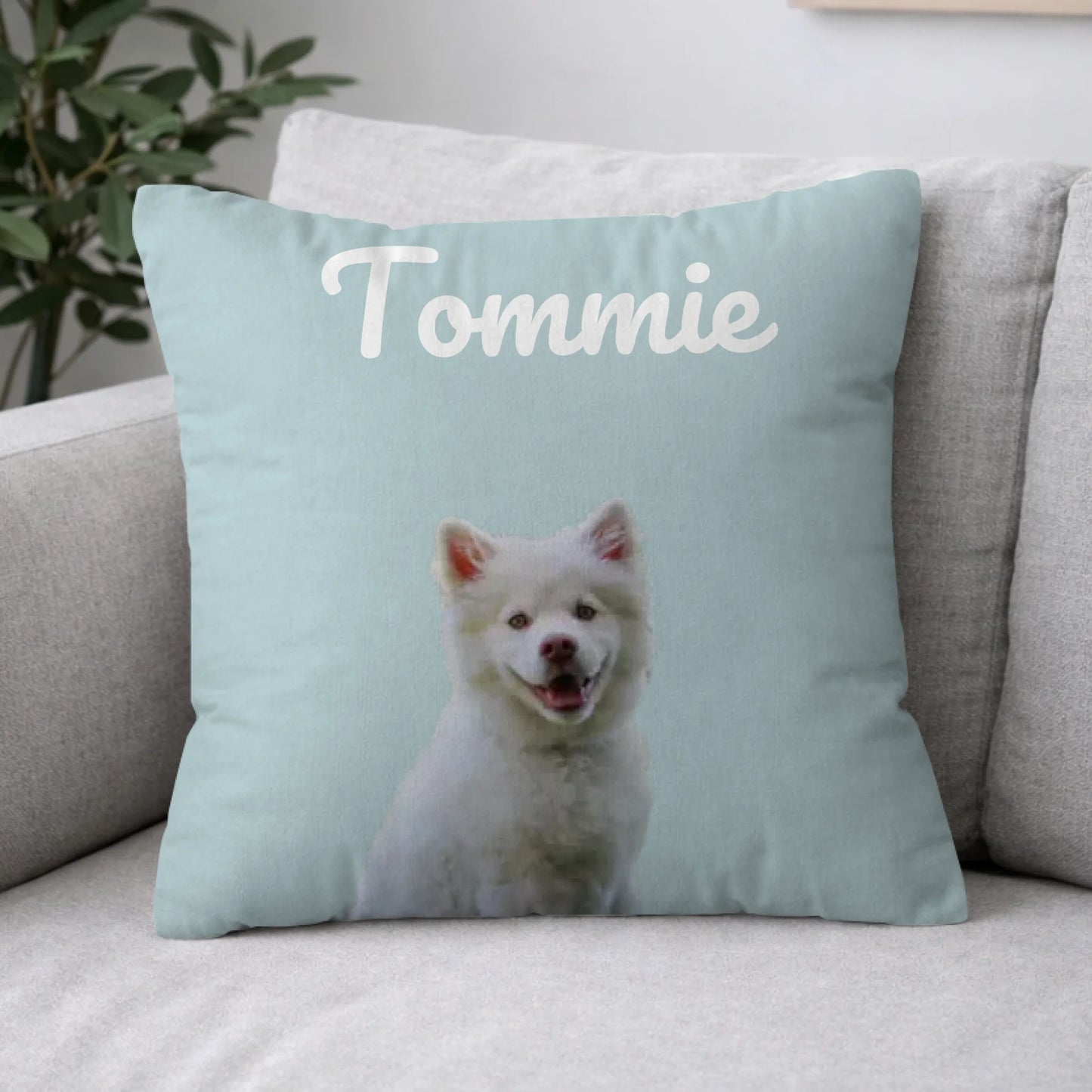 Pillow 2-1