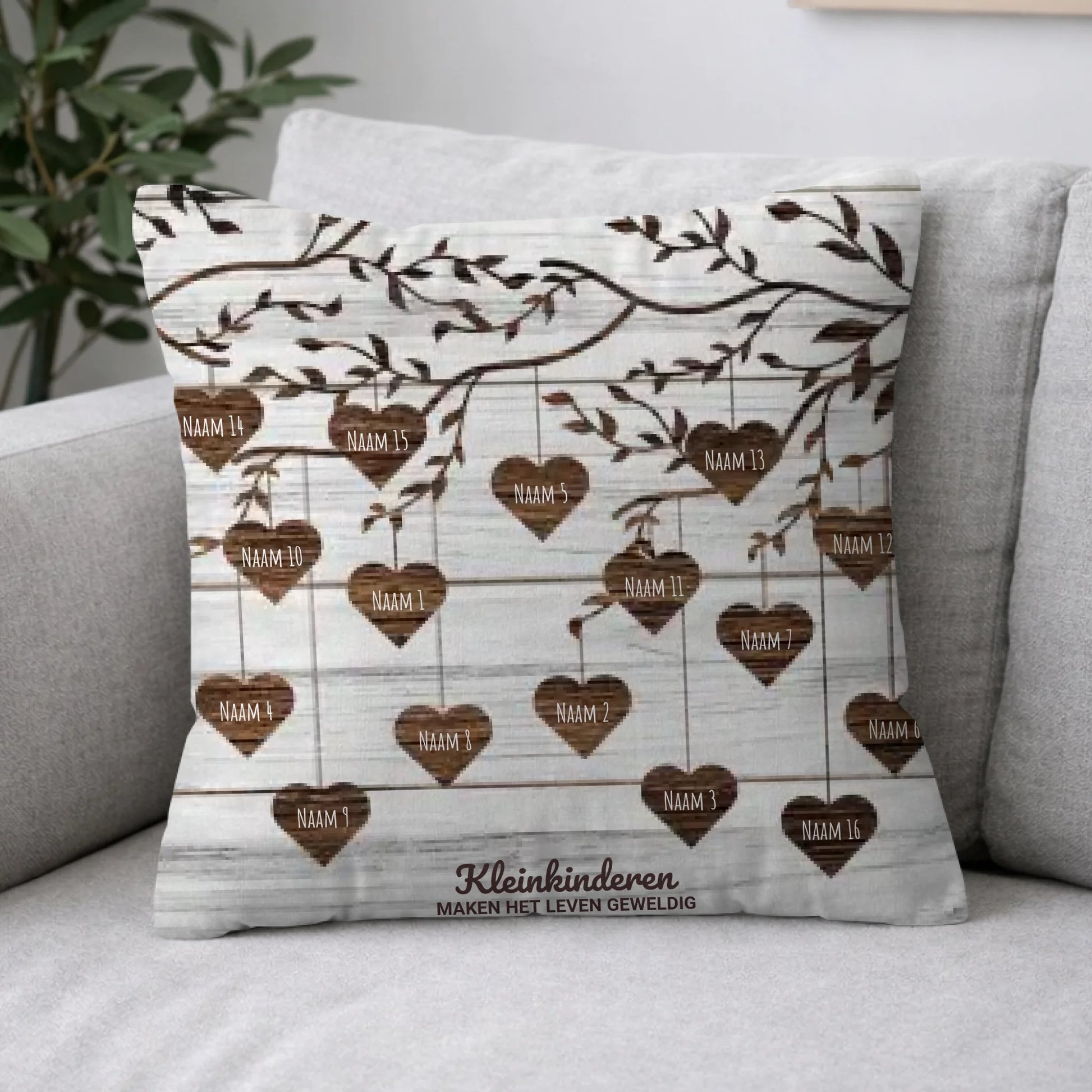 Pillow 2-1