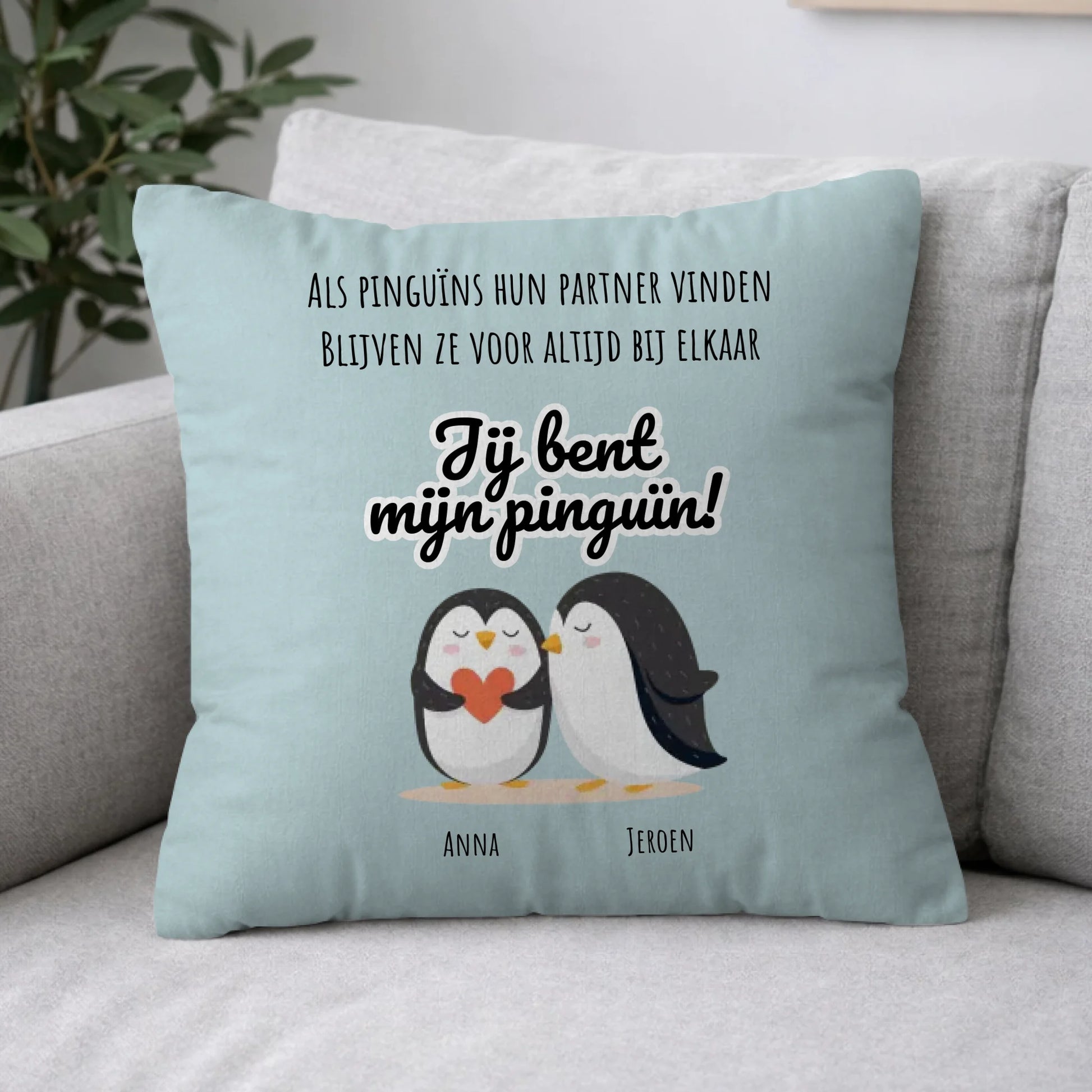 Pillow 2-1