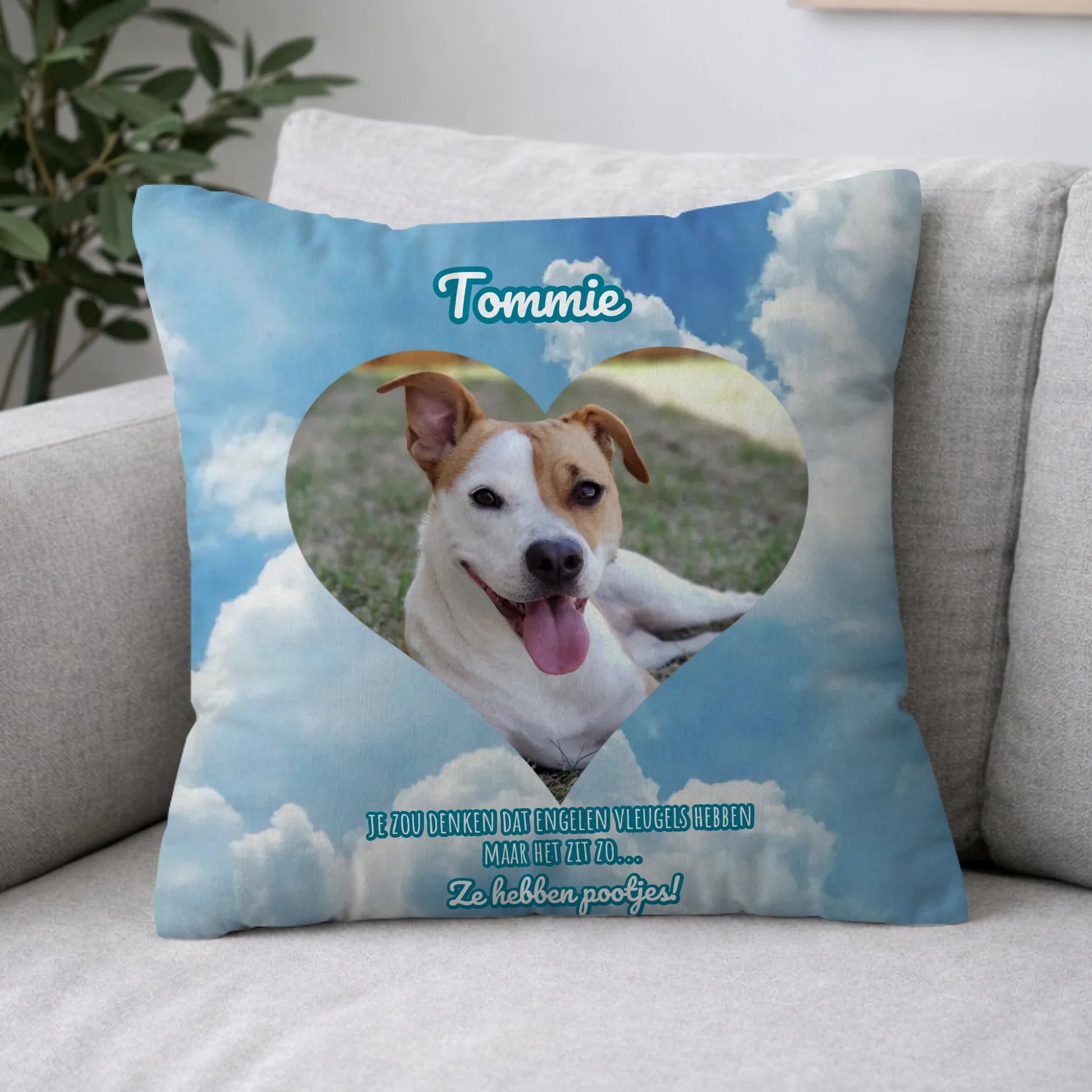 Pillow 2-1