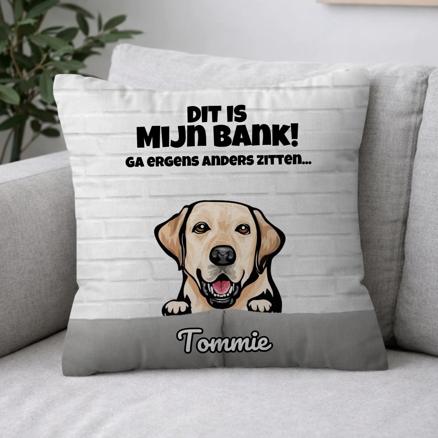 Pillow 2-1