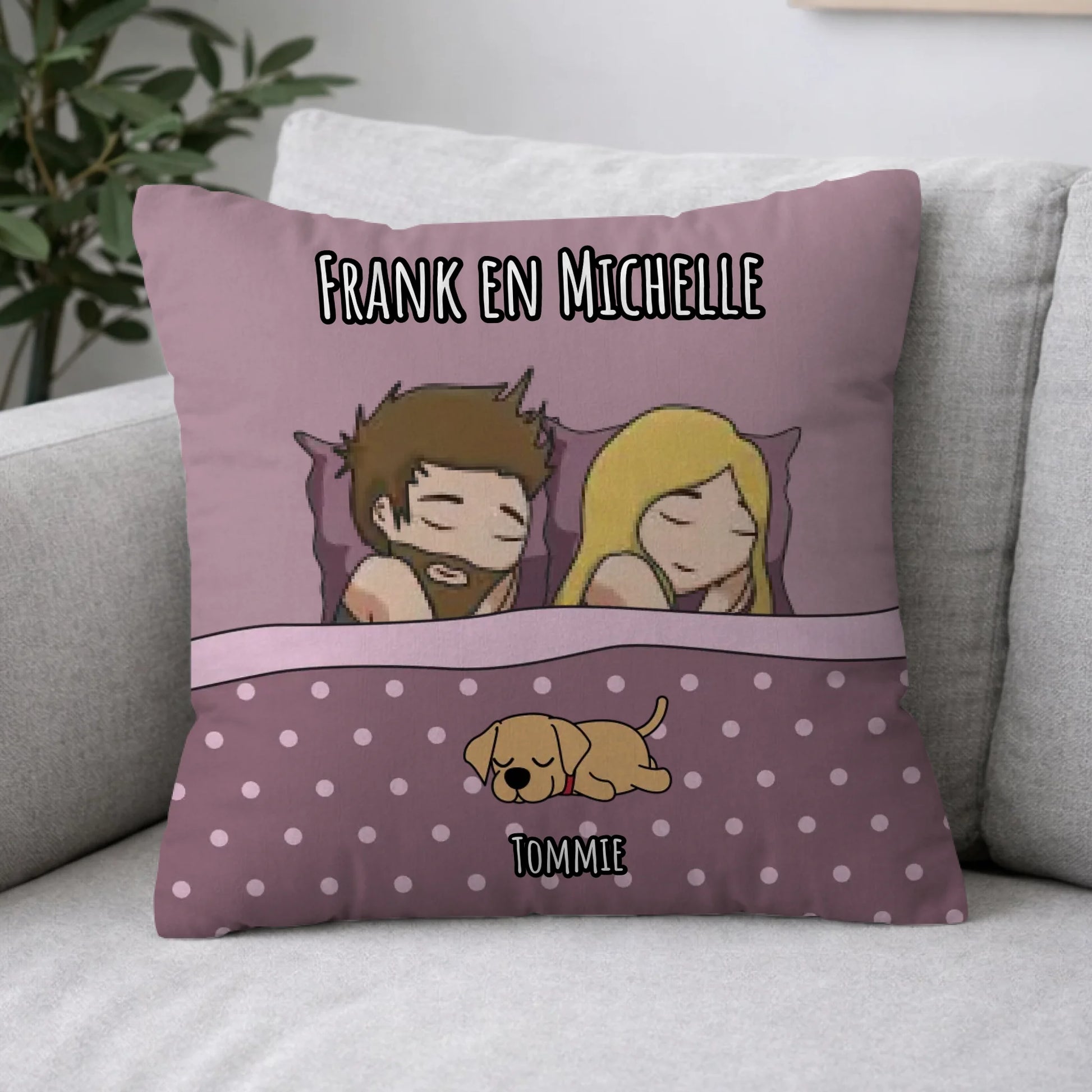Pillow 2-1