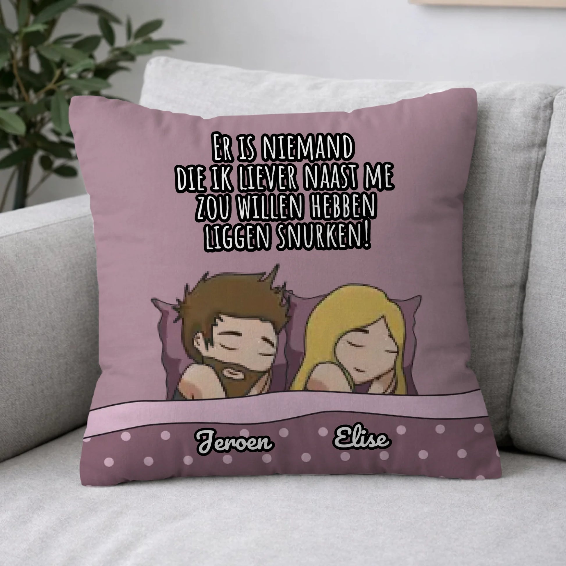 Pillow 2-1